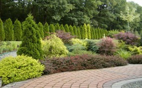 Kompleksowe zakładanie ogrodów - Home & Garden SERVICE Chojna