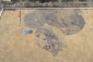 Badania  wykopaliskowe - sondażowe Pracownia Badań i Usług Archeologicznych  ARCHAIA 