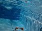baseny ogrodwe Mogilno - Europool - Producent Basenów Kąpielowych