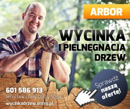 Wycinka drzew parki - Arbor Zakład Pielęgnacji Zieleni, drzew Wrocław