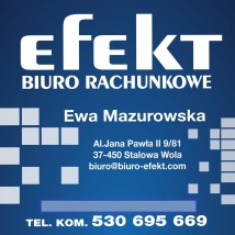 Obsługa kompleksowa Firm z zakresu księgowości - Biuro Rachunkowe EFEKT Stalowa Wola