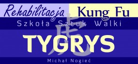 Rehabilitacja, - Michał Nogieć Rehabilitacja & Kung Fu Szkoła Sztuk Walki Tygrys Kraków