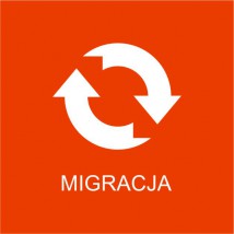 MIGRACJA - VIALUTIONS Sp. z o.o. Wrocław