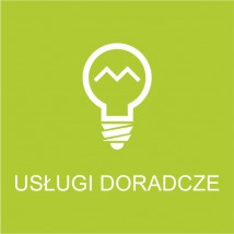 Doradztwo i konsulting IT - VIALUTIONS Polska Sp. z o.o. Wrocław