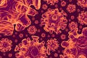 Test na obecność pasożytów - Gabinet biorezonansu i poprawy zdrowia NATURAMED Rzeszów