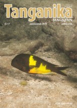 Tanganika MAGAZYN - Tropheus Robert Mierzeński Kraków