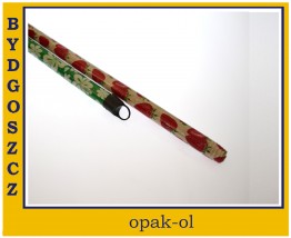 DREWNIANY KIJ DO SZCZOTKI 120 CM POWLEKANY KOLOROWY - OPAK-OL Bydgoszcz