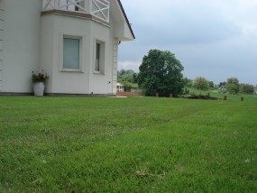 trawnik z rolki - OGRODY-RW Pracownia Architektury Krajobrazu Połczyn-Zdrój