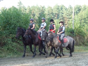 Jazda maneż - Szkółka jeździecka KONNA TĘCZA Libiąż