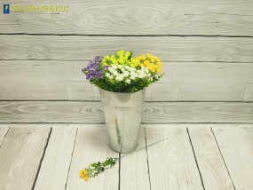 Eukaliptus pojedyńczy - Golden Krokus Andrzej Sitarz - Kwiaty Sztuczne Warszawa