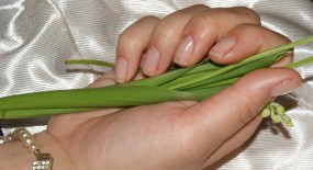 Manicure japoński - Gabinet Kosmetyki Naturalnej Joanna Sokołowska Lublin