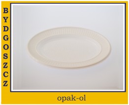 TALERZ TWORZYWO PS 16X22 cm OWAL 100 szt - OPAK-OL Bydgoszcz