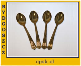 ŁYŻKA TWORZYWO SREBRNA 12 szt - OPAK-OL Bydgoszcz