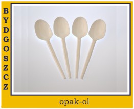 ŁYŻKA TWORZYWO BIAŁA 100 szt - OPAK-OL Bydgoszcz