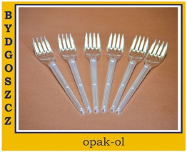 WIDELEC TWORZYWO EKONOMY TRANSPARENTNY 100 szt - OPAK-OL Bydgoszcz