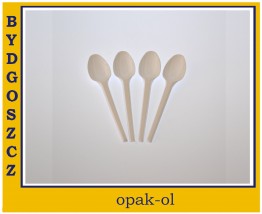 ŁYŻECZKA TWORZYWO BIAŁA 100 szt - OPAK-OL Bydgoszcz