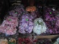 Kwiaty sztuczne kwiaty sztuczne - Koszalin Firma Handlowa KEMA