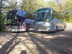 Usługa transportowa, przewóz osób, wynajem - TRANS-GRYF - Usługi transportowe Miechów