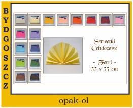 Serwetki FERRI Celuloza 33 x 33 cm 20 szt. - OPAK-OL Bydgoszcz