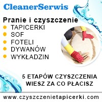czyszczenie tapicerki, pranie dywanów, czyszcenie wykladzin - Czyszczenie tapicerki, dywanów, wykładzin Kraków