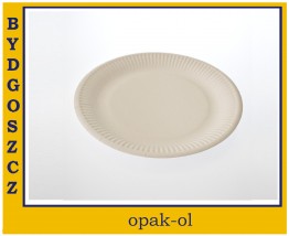 TALERZ 23 cm PAPIER 100 szt - OPAK-OL Bydgoszcz