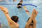 Szkoła pływania SWIM-SPORT - szkoła pływania dla dzieci Jaworze