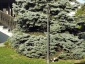 Lampy ogrodowe Oświetlenie - Racibórz ELMADO - Oświetlenie - Lustra