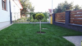Usługi ogrodnicze - BER-TRANS Promnice