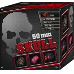 SKULL - P.P.H.U. SZAFRAN Elbląg