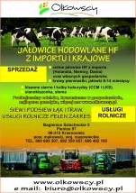Usługi rolnicze, zbiór kukurydzy, koszenie zbóż, Jałówki hodowlane, - BIOMAX - Gospodarstwo Agro-Energetyczne OLKOWSCY Pienice