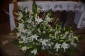 Wadowice Dekoracja Kościoła - Kwiaciarnia  Stefanotis 