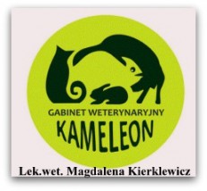 Usługa weterynaryjna - Gabinet Weterynaryjny Kameleon Siedlce