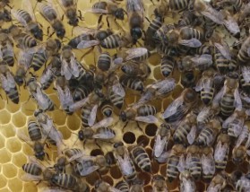 Jak skutecznie współpracować - PROGRESS Pośrednictwo Tłumaczeniowe i Handlowe Bielsko-Biała