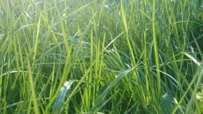 Budowanie zespołu - PROGRESS Pośrednictwo Tłumaczeniowe i Handlowe Bielsko-Biała