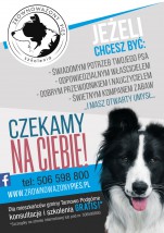Szkolenie i wychowanie psów - Zrównoważony Pies Poznań