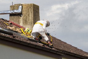 Likwidacja gniazd os i szerszeni - RATMAR Zakład Profilaktyki i Zwalczania Szkodników Sanitarnych Dezynfekcja Dezynsekcja Deratyzacja Giżycko