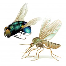 Opryski na komary i muchy - RATMAR Zakład Profilaktyki i Zwalczania Szkodników Sanitarnych Dezynfekcja Dezynsekcja Deratyzacja Giżycko