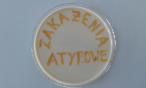 Ureaplasma urealyticum, Mycoplasma hominis- cewka moczowa - MICROFAM Laboratorium Mikrobiologiczne, badania mikrobiologiczne Wrocław