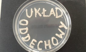 wymaz z gardła w kierunku Chlamydophila  pneumoniae - MICROFAM Laboratorium Mikrobiologiczne, badania mikrobiologiczne Wrocław