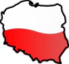 Przewozy grupowe - F.U. Transer Łukasz Rybacki Środa Wielkopolska