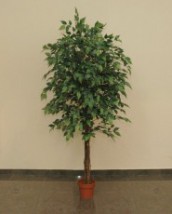 Drzewka ozdobne - LOTOS - sztuczne kwiaty Ożarów Mazowiecki