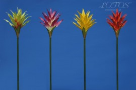 Gałązki ozdobne - LOTOS - sztuczne kwiaty Ożarów Mazowiecki