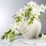 Kwiaty dekoracyjne Kwiaty - Busko-Zdrój Salon EUROFIRANY