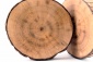EKO Podkładka drewniana (średnia) - KuulArt Factory Kęty