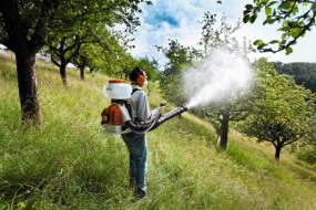 Opryskiwacz spalinowy - Wypożyczalnia Sprzętu Ogrodniczego Większyce