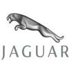 Jaguar - AUTO PARTS Mariusz Sobiński Nowy Krępiec