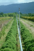 Narzędzia i maszyny rolnicze Deszczownia rurowa - Ustroń PERROT-POLSKA Sp. z o.o.