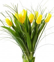 Zółte Tulipany, 8 marca kwiaty z dostawą - Kwiaty Z Daleka - Kwiaciarnia Internetowa Warszawa