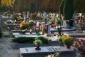 Opieka nad grobami Toruń - Czyszczenie i Renowacja Nagrobków