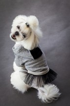Bluza Girlfriend - BY LUIGI Luksusowe ubranka dla psów Lublin